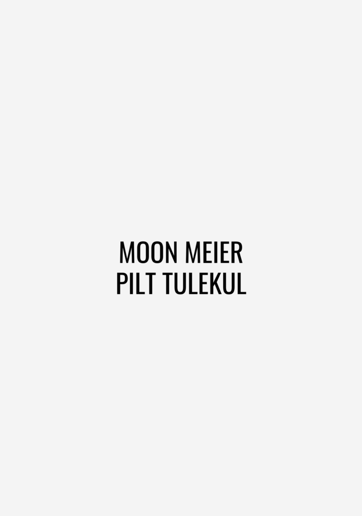 Moon Meier pilt tulekul